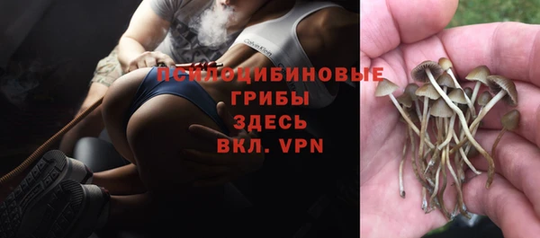 марки nbome Нефтекумск