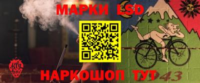прущие грибы Заводоуковск