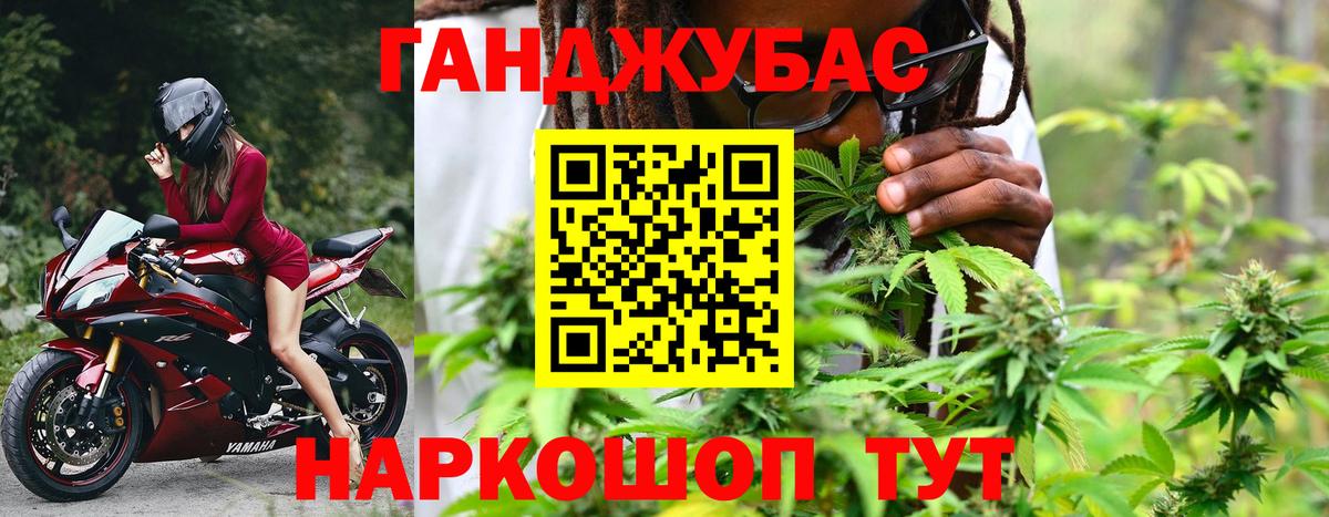 Каннабис конопля Ессентуки